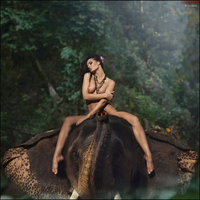 BONE ELEPHANT Â©_5-xqcJfl2IOByBXRC4uXgmSvhTUyedC2EC.jpg